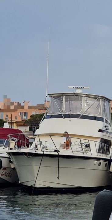 Yacht used HATTERAS 50 CONVERTIBLE