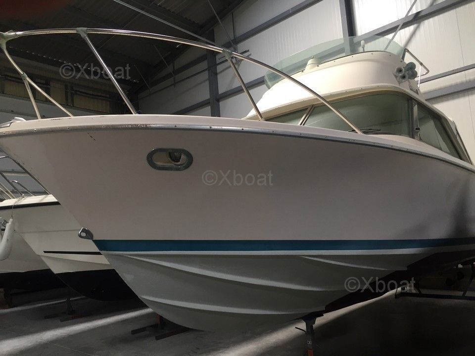 Yacht used RIVA BERTRAM 25 SPORT FISHERMAN