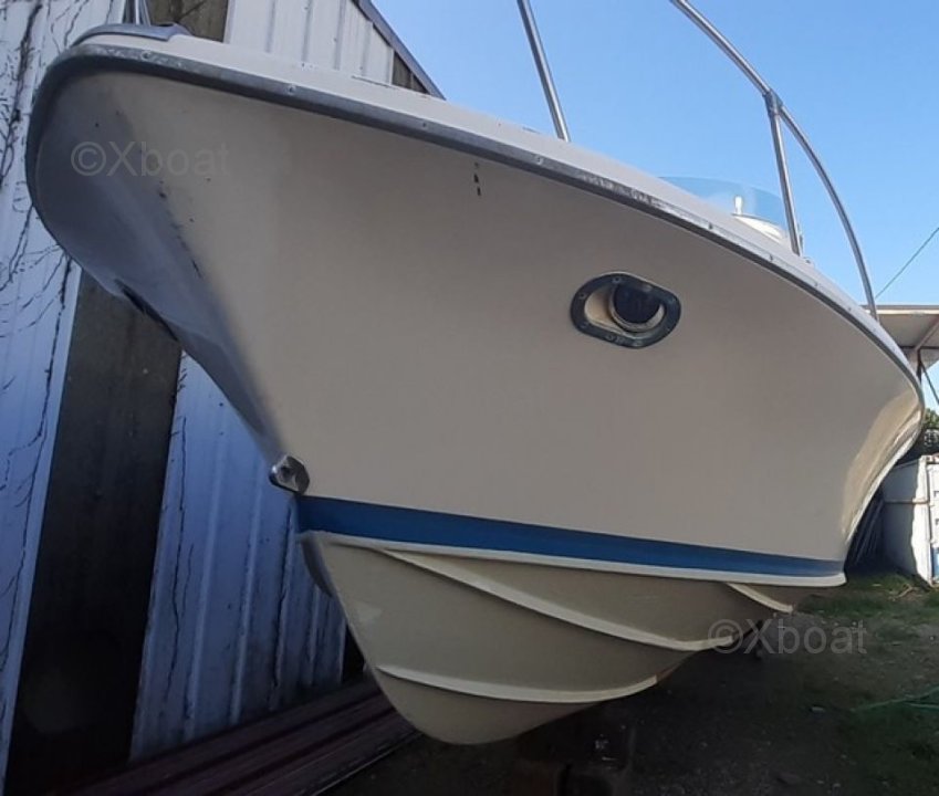 Yacht used RIVA BERTRAM 25 SPORT FISHERMAN