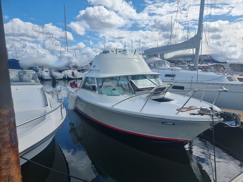 Yacht used RIVA BERTRAM 25 SPORT FISHERMAN