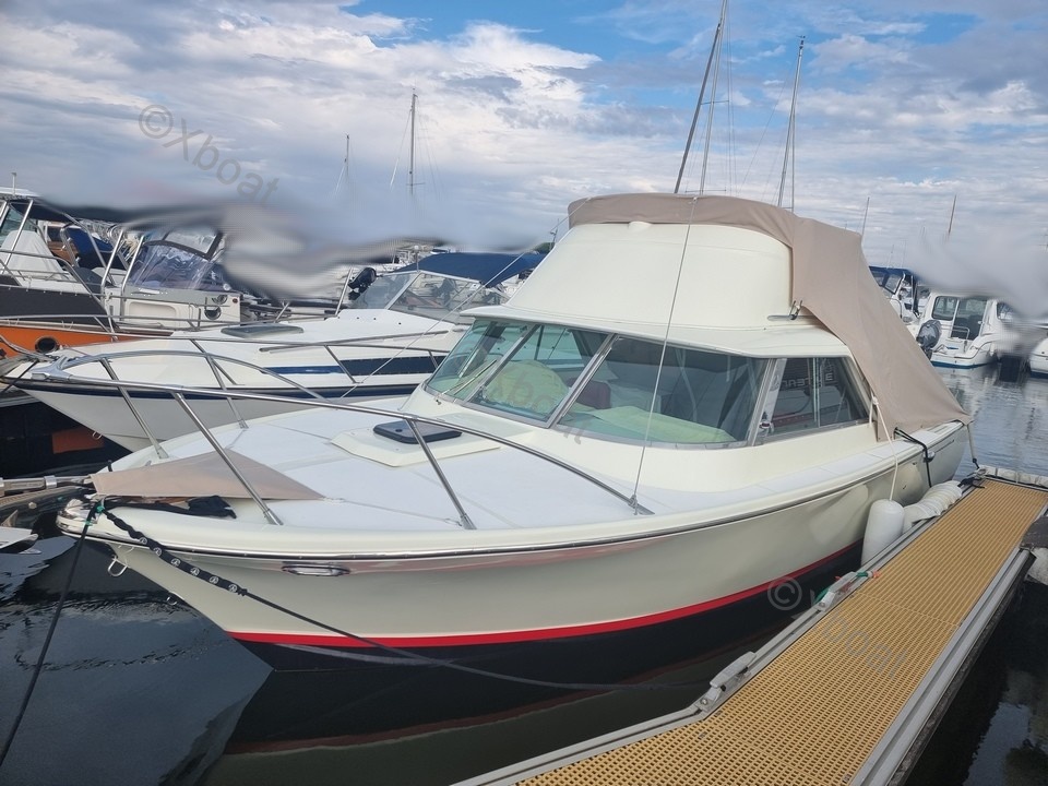 Yacht used RIVA BERTRAM 25 SPORT FISHERMAN