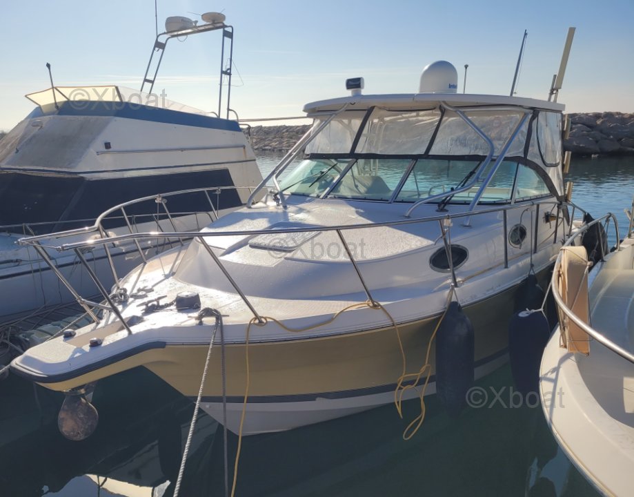 Yacht used WELLCRAFT COASTAL 290