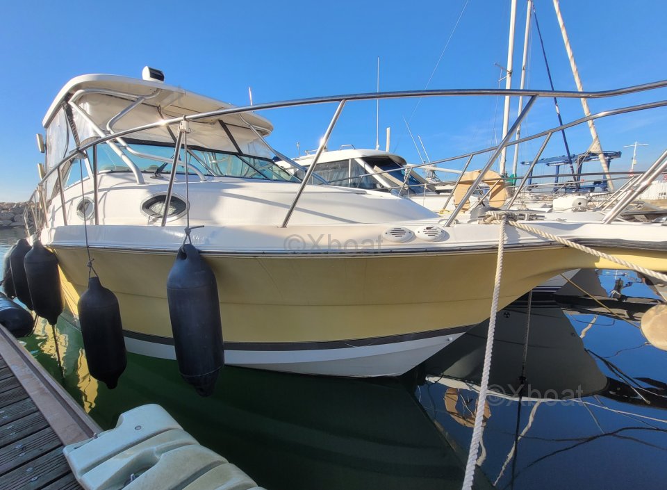 Yacht used WELLCRAFT COASTAL 290