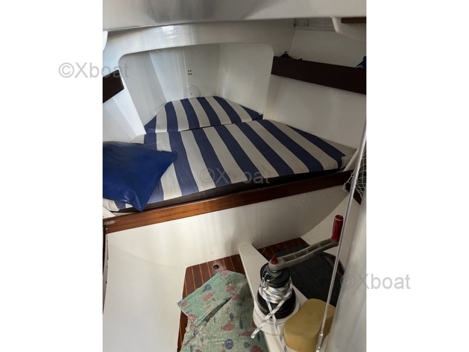 Sailboat used KAOBA 31