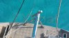 Used sailboat LEGENDE 36 DI