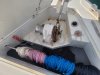 Used Motorboat FERRETTI 36 ALTURA